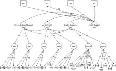 Analyzing the role of family support, coping strategies and social support in improving the mental health of students: Evidence from post COVID-19